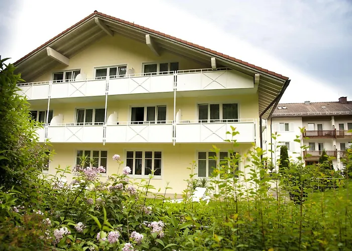 أكتيف شفايغر 3*